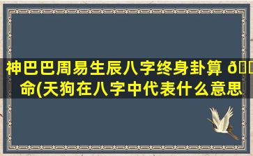 神巴巴周易生辰八字终身卦算 🐡 命(天狗在八字中代表什么意思)